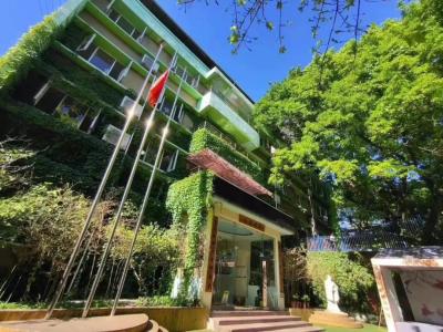 睿思·大東方幼稚園